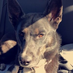 Meet your Posher, Eddie